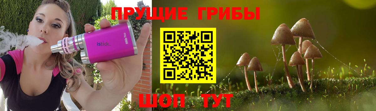 Псилоцибиновые грибы GOLDEN TEACHER  Галлюциногенные грибы Psilocybe  Крымск  Вход с VPN 